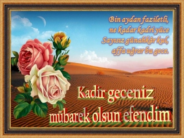  Fotoğraf