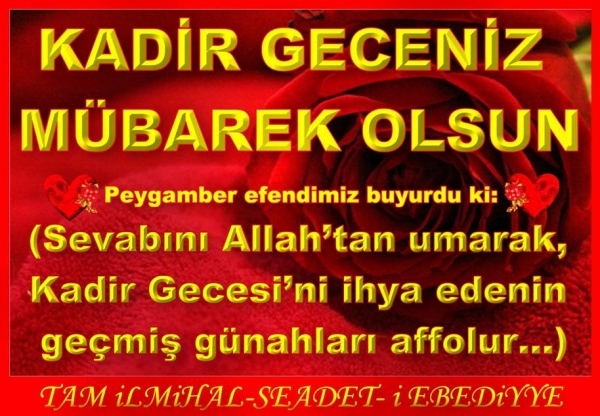  Fotoğraf